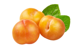 Mirabelle di Francia