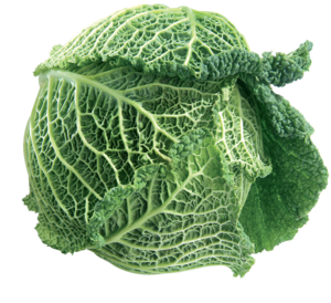 Cavolo riccio
