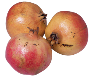 Pomegranate