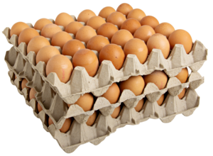 Free-range eggs