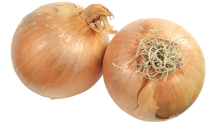 Large onions