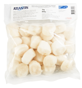 Scallop meat 10-20
