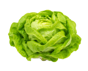 Cuori di lattuga