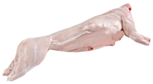 Lapin frais