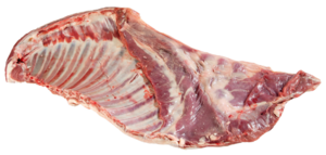 Petto di agnello fresco