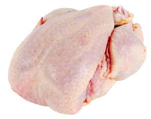 Fresh white cockerel