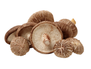 Champignons shiitake