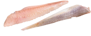 Filetto di gallinella di mare fresco