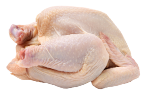 Poulet fermier blanc frais