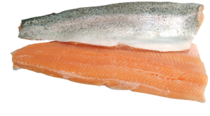 Fresh salmon trout fillets with skin