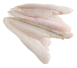 Filetti di platessa freschi