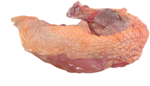 Perlhuhn-Suprêmes frisch, 180-210 g, aus Frankreich, 4 Stück, ca. 800 g