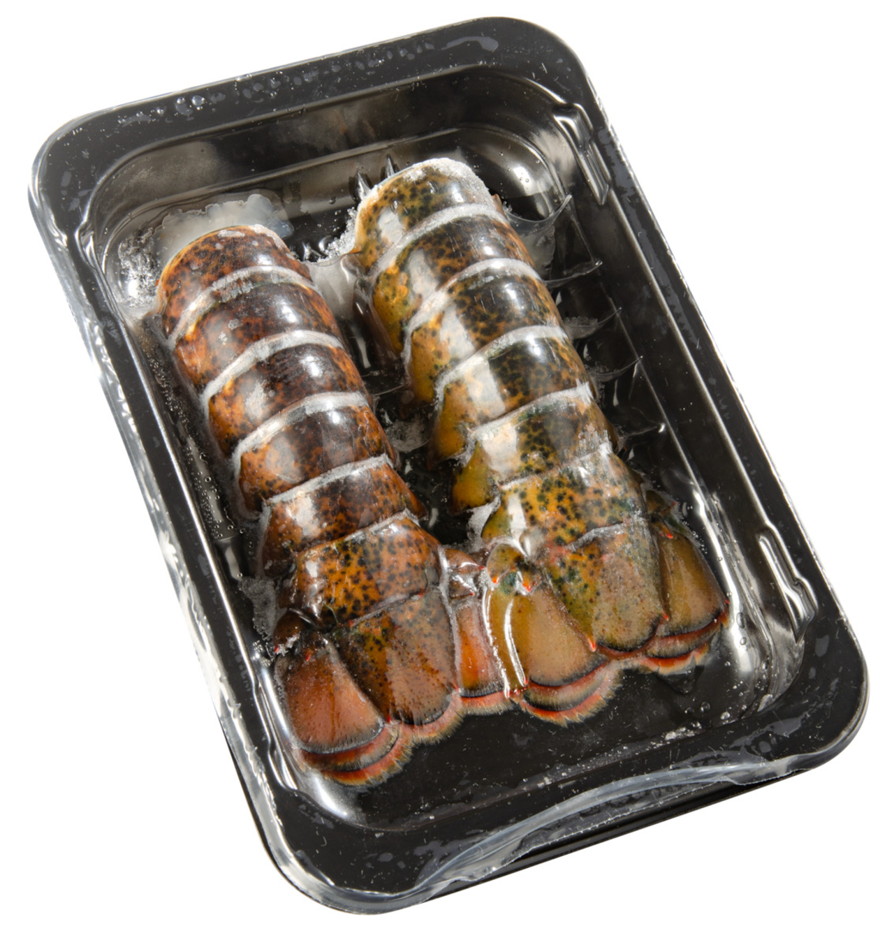 Queues de homards, crues, avec carapace, MSC, 198 g