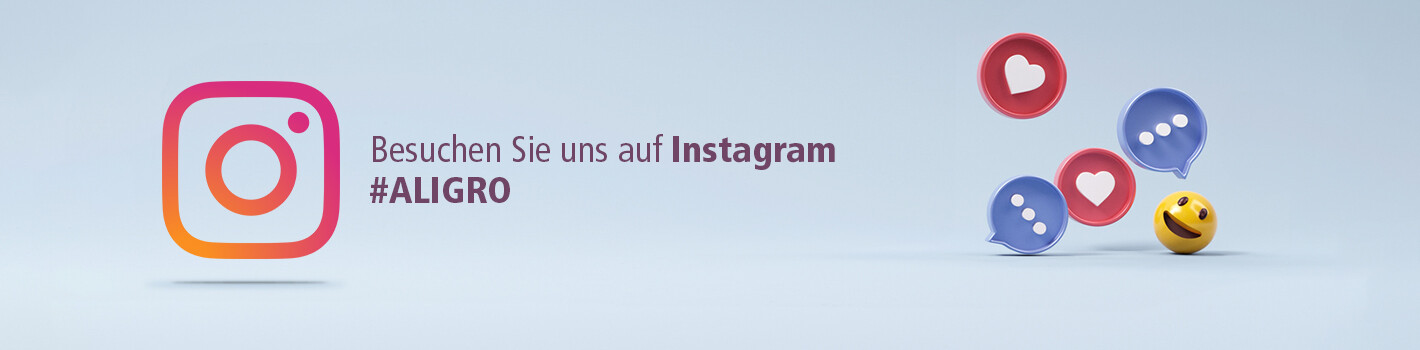 Folgen Sie dem Instagram-Konto