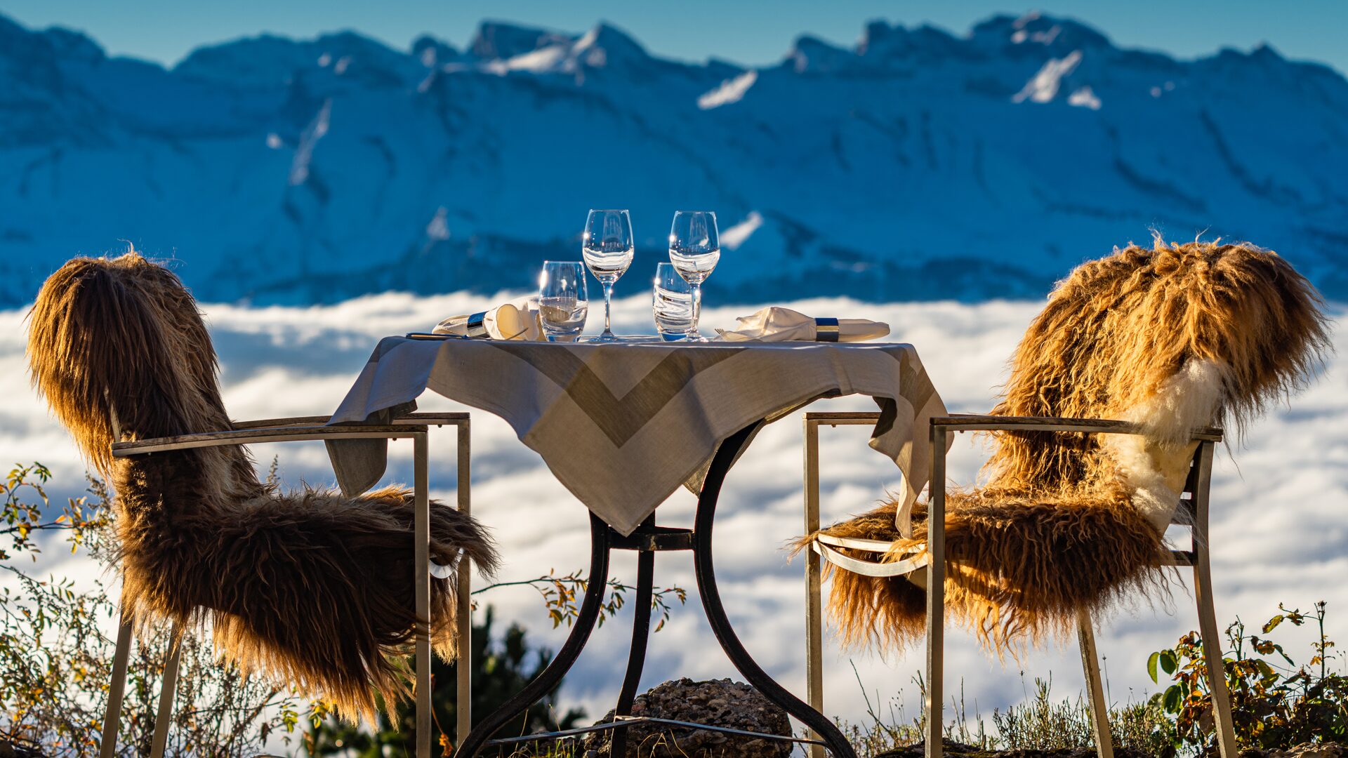 06-Aligro_Winter_2025_26