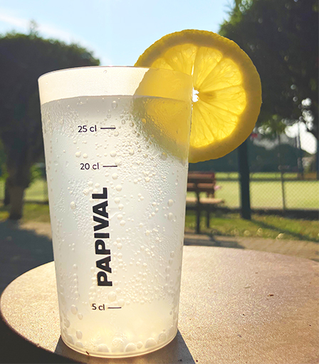 Verre-Papival